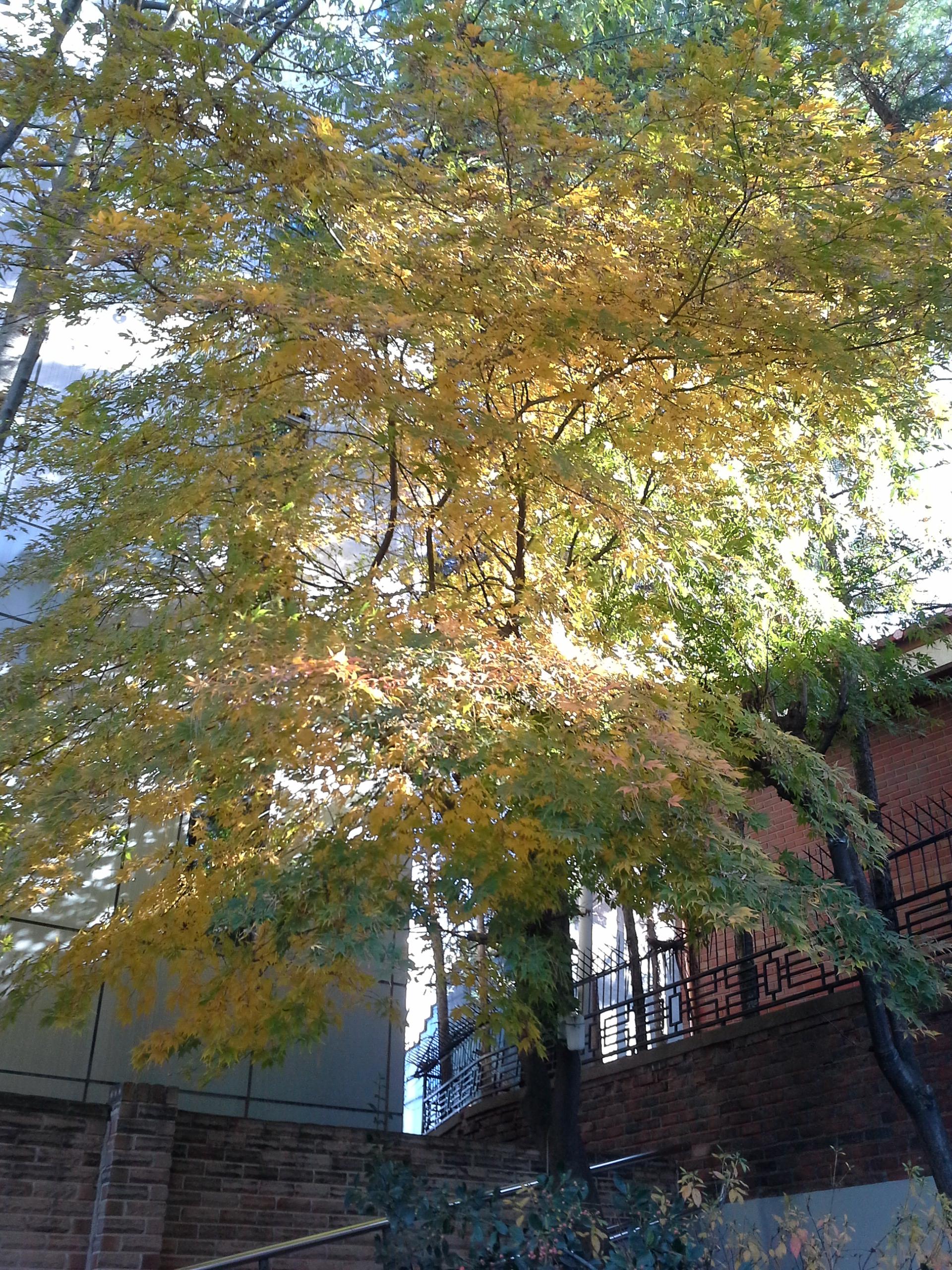20131107_144854.jpg