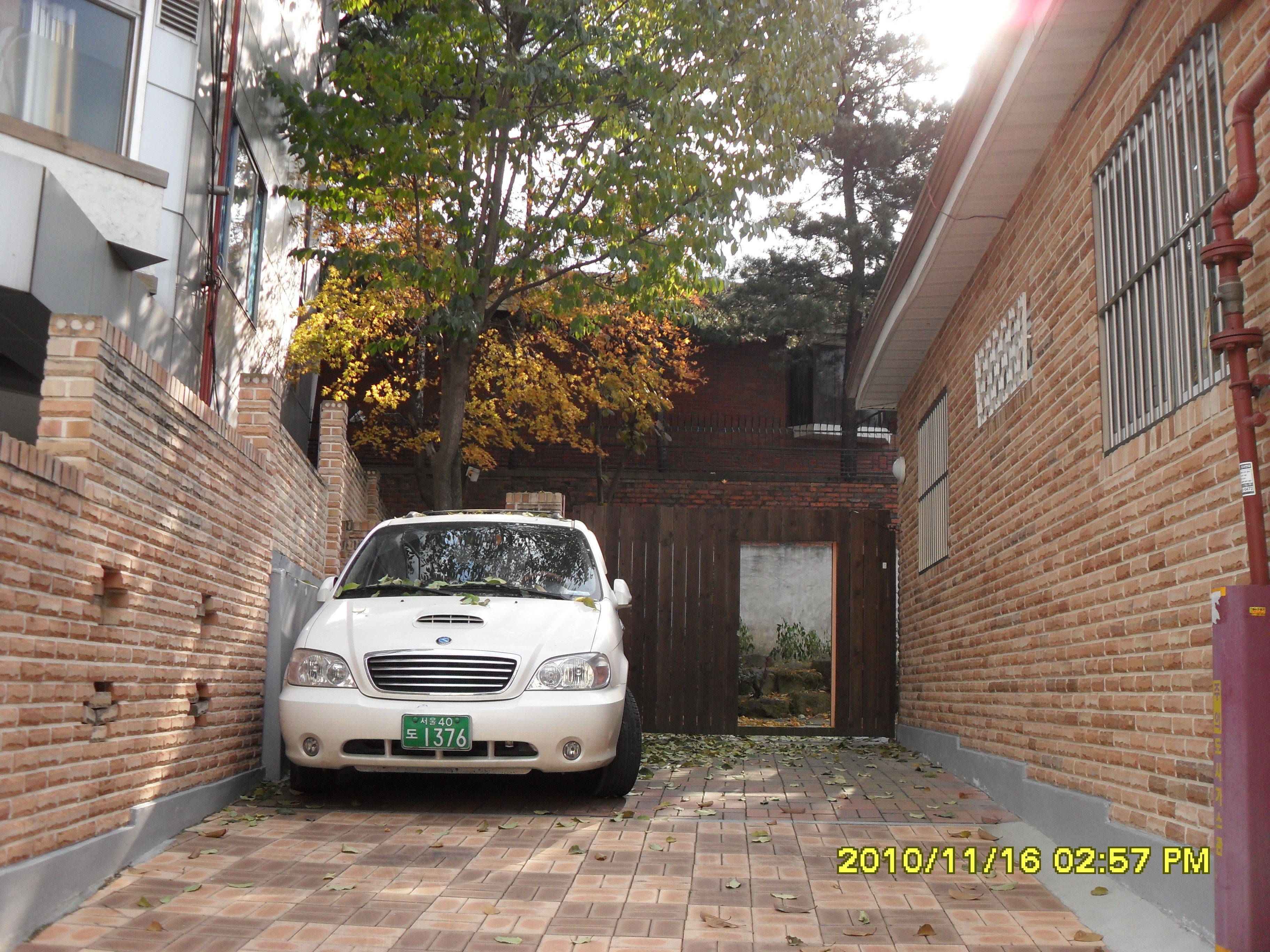 SDC10114.JPG