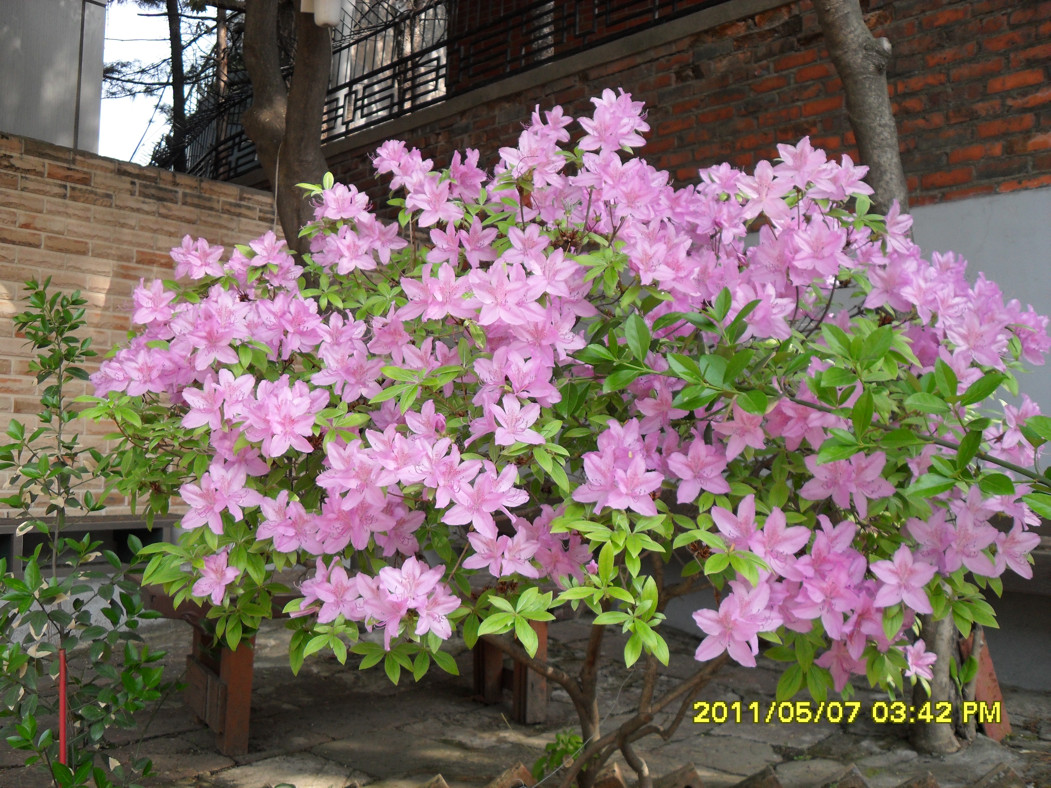 SDC10140.JPG
