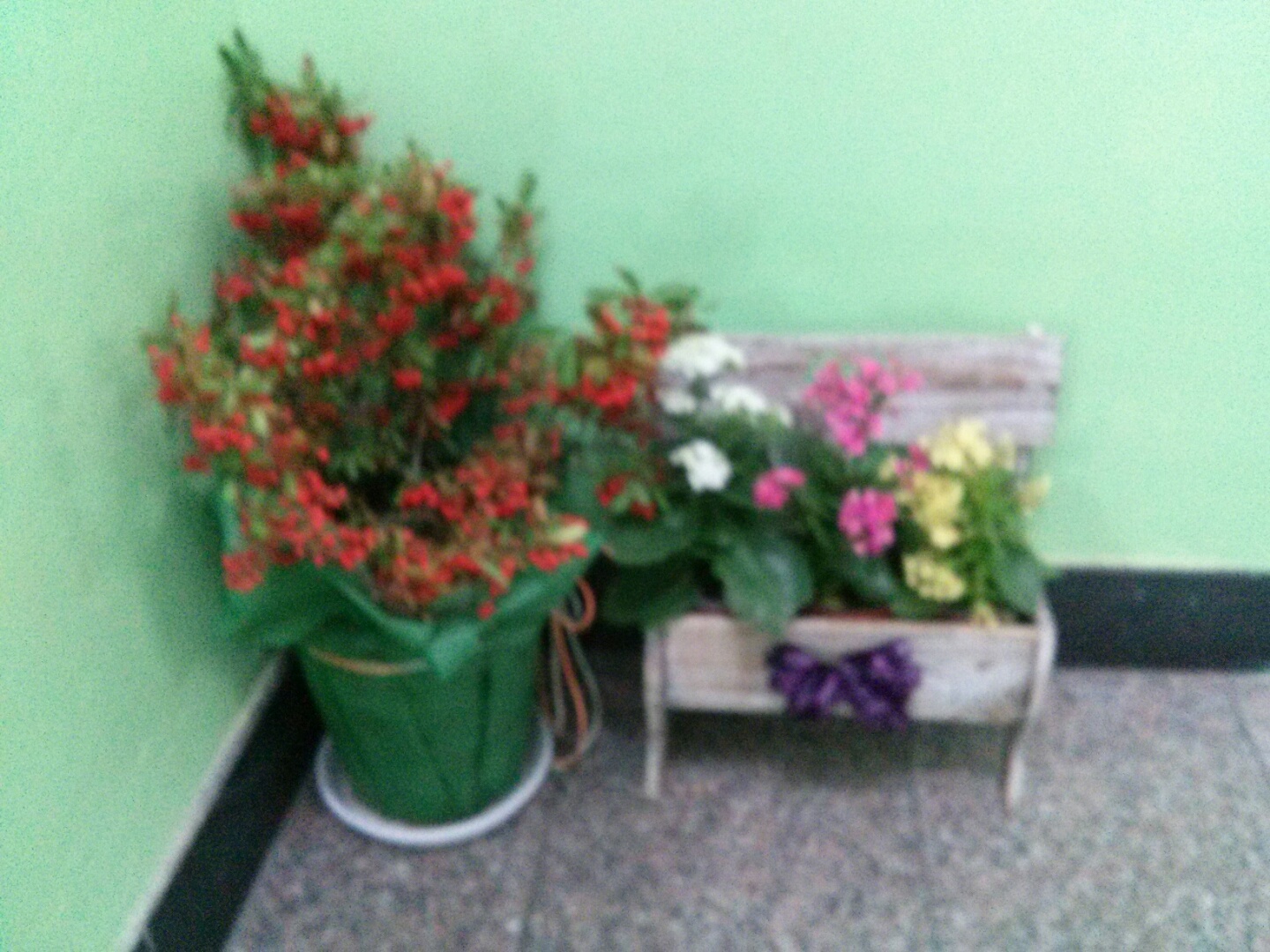 KakaoTalk_20151209_173750383.jpg