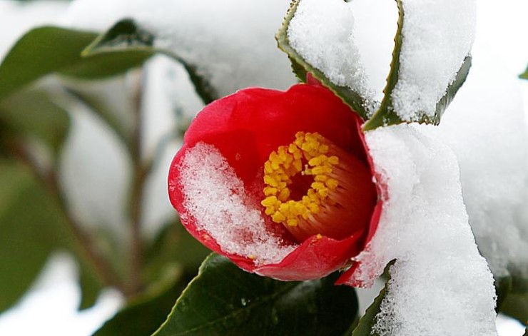 2013021901309_2.jpg