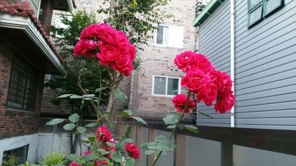 KakaoTalk_20180602_051420337.jpg