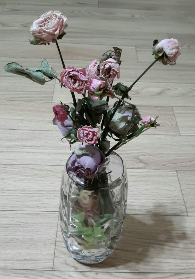 축하꽃병.jpg
