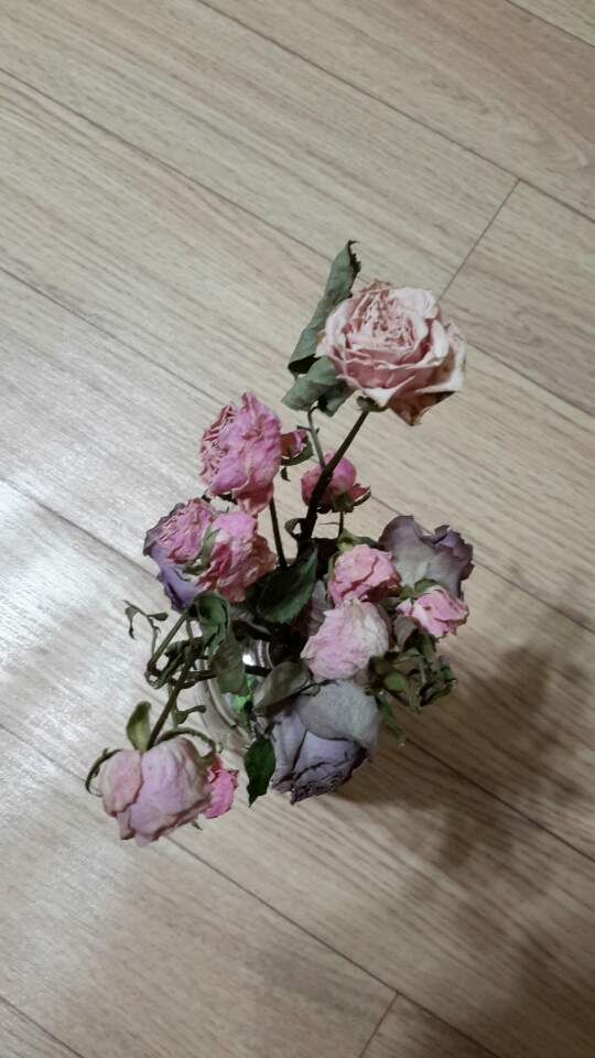 축하꽃병3.jpg
